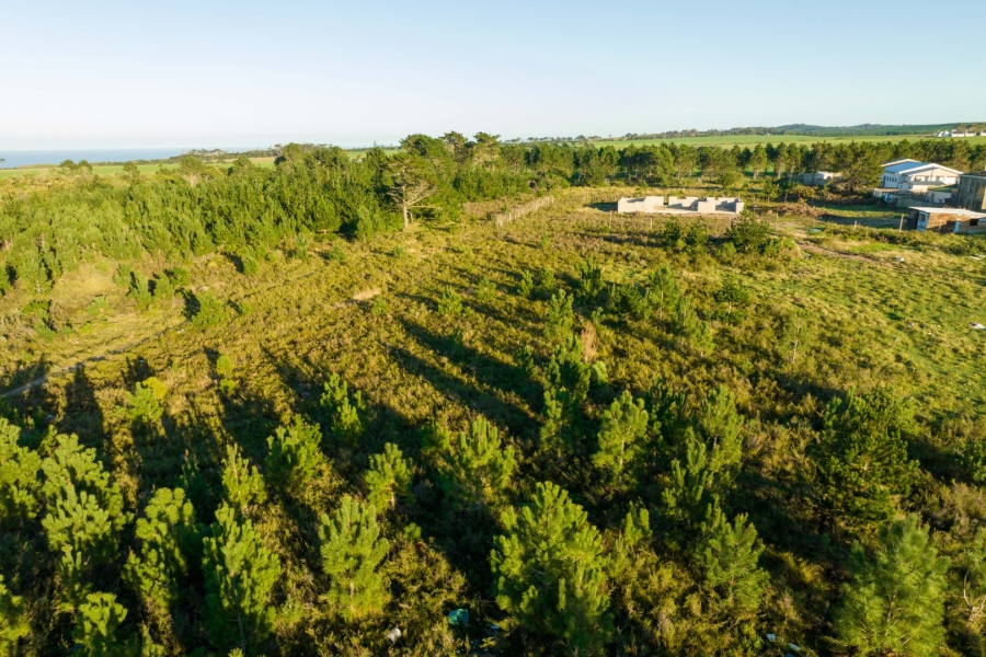 Commercial Property for Sale in Plettenberg Bay Rural Western Cape
